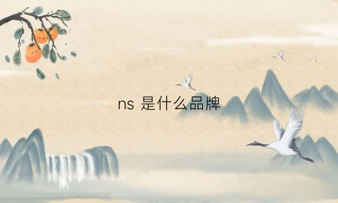 ns是什么品牌(clarins是什么品牌)